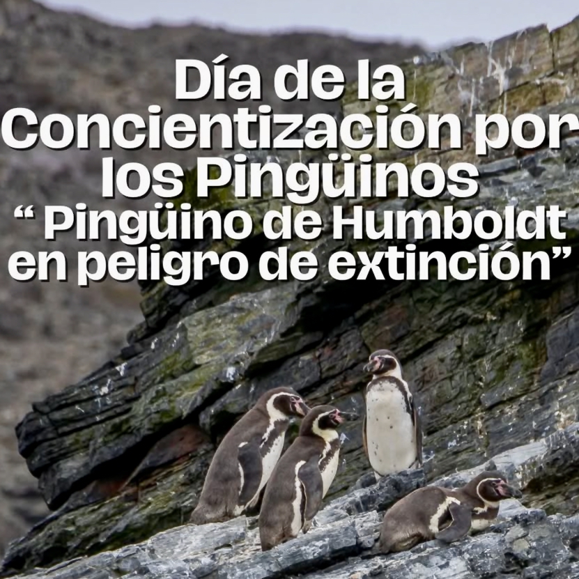 1a_Awareness Day_quad